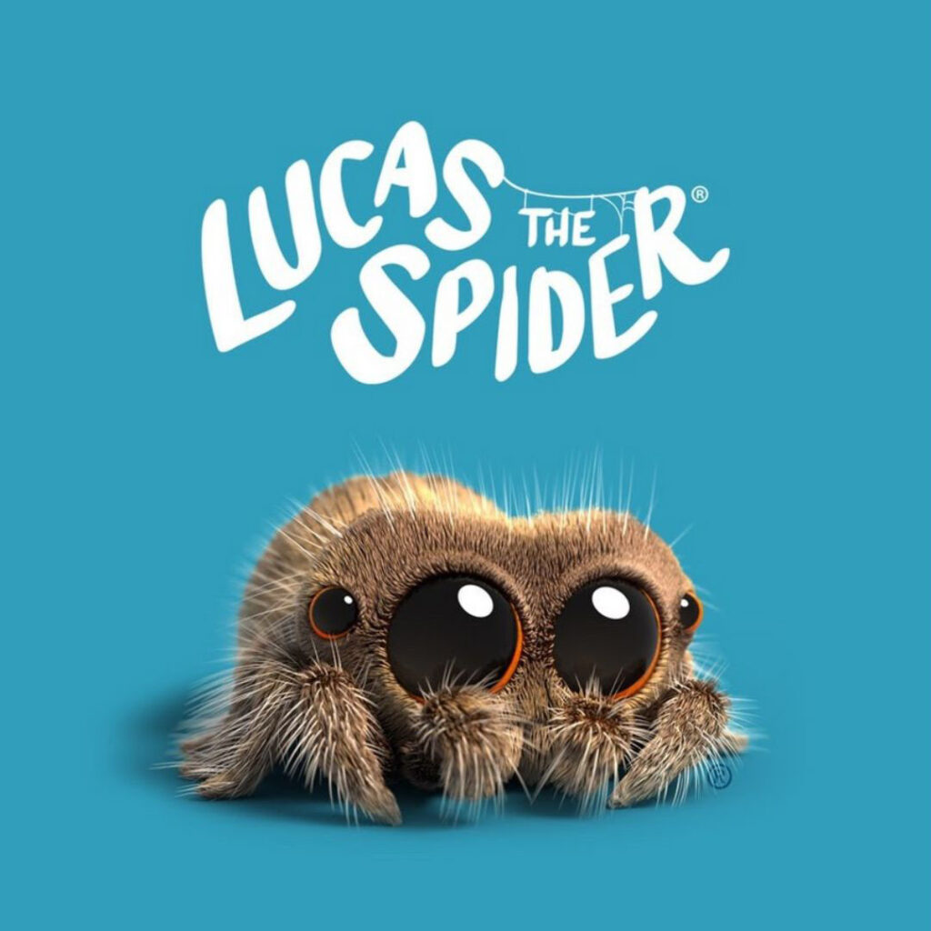 Lucas The Spider X The Ants: Case Study