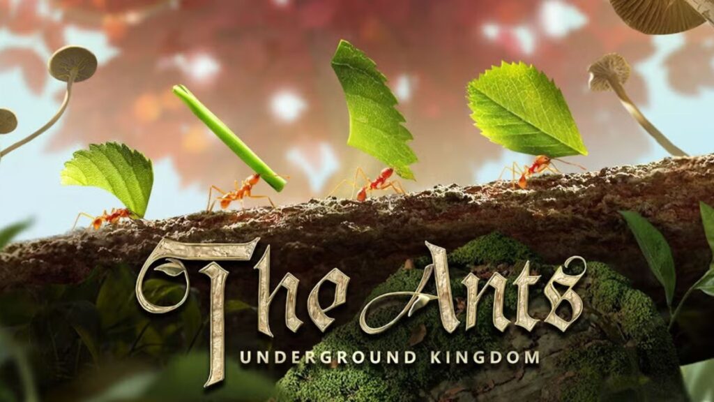 Lucas The Spider X The Ants: Case Study